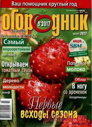 Огородник 3 2017 | ПЕРЕДЕЛКИ.рУ