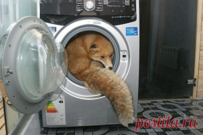 И тут я понял, что пришла зима