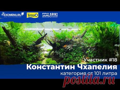 Скейп 240 л. Участник №18 в категории от 101 литра #Scalariki​ Aquascaping Contest 2021 - YouTube