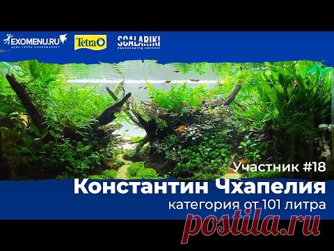 Скейп 240 л. Участник №18 в категории от 101 литра #Scalariki​ Aquascaping Contest 2021 - YouTube