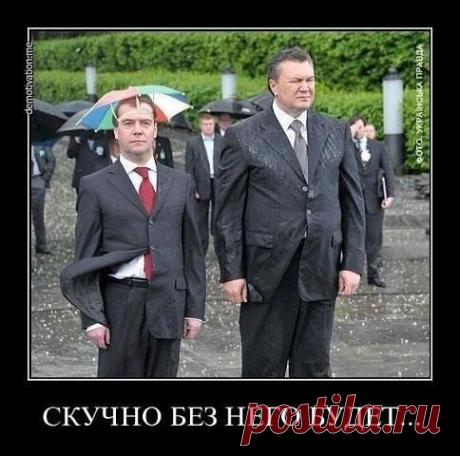 Сохранённые фотографии | 1 625 фотографий