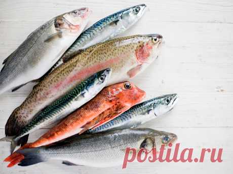 10 видов рыбы, которую лучше не есть Продукты питания должны приносить пользу нашему организму, в этом их суть и главная задача, но, к сожалению, так получается далеко не всегда.