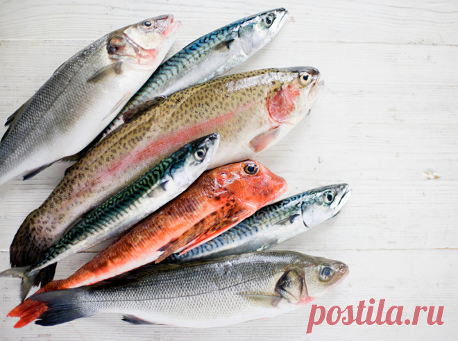 10 видов рыбы, которую лучше не есть Продукты питания должны приносить пользу нашему организму, в этом их суть и главная задача, но, к сожалению, так получается далеко не всегда.