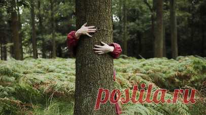 Спасатель Леонов: дети в лесу не должны находиться без взрослых. Спасатель-доброволец Олег Леонов заявил, что детей нельзя отпускать в лес без сопровождения взрослых. Читать далее