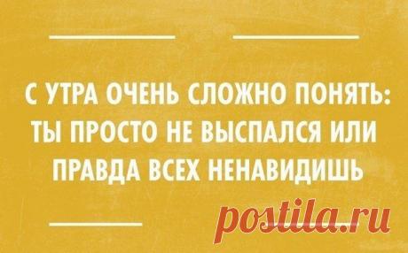 Surfingbird - проводи время с пользой для себя!