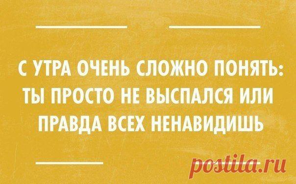 Surfingbird - проводи время с пользой для себя!