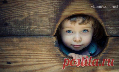 Памятка родителю от ребенка
