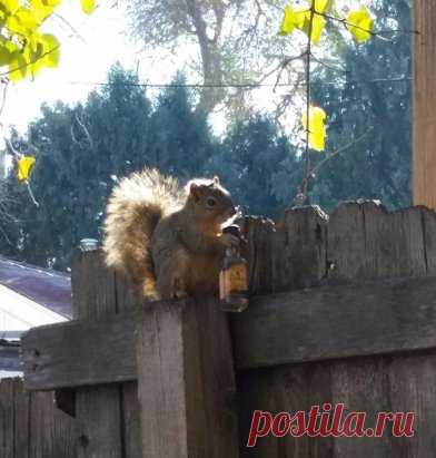 Ну все, она пришла...