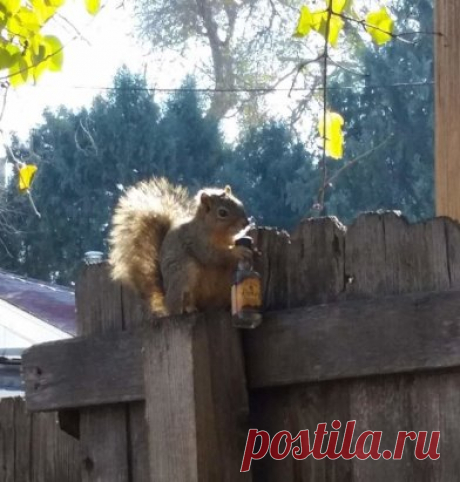 Ну все, она пришла...