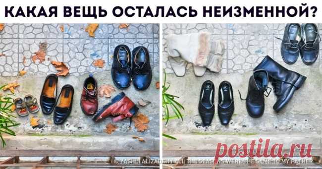 Иранский режиссер снял короткометражку, которая пронзительно и сильно рассказывает об отцовской жертвенности . Милая Я