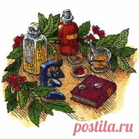 Домашняя настойка для укрепления сердца, нервной и сосудистой системы!
