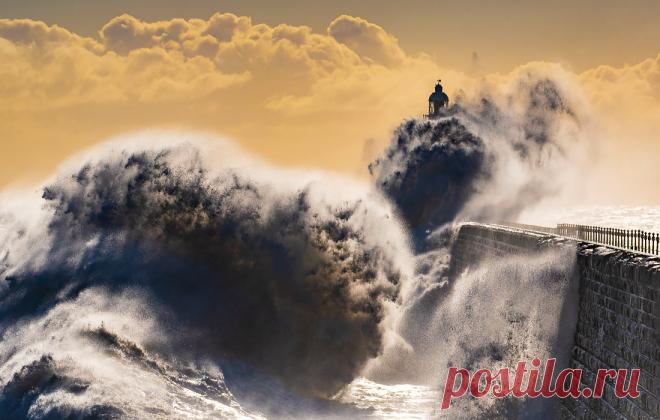 Лучшие фото недели - фото 1 из 10