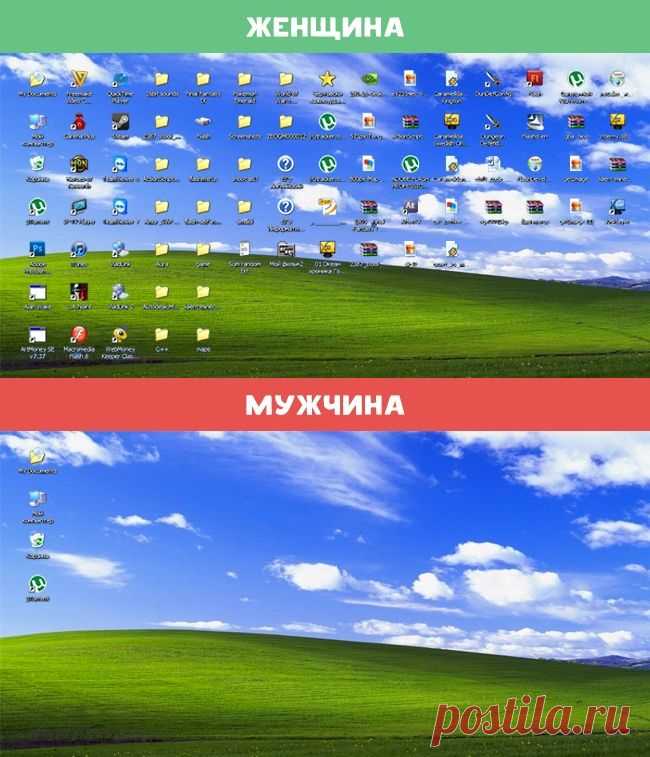 10 отличий женщин от мужчин