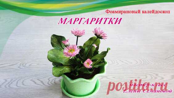 Простой способ сделать чудесные маргаритки и посадить в горшочек! - поиск Яндекса по видео