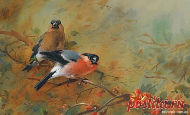 Схема вышивки «№1596692» - Вышивка крестом