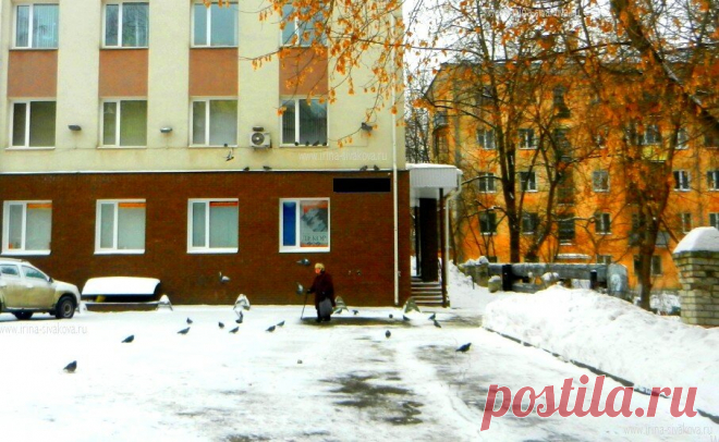 Какие льготы и доплаты дает «северный» стаж пенсионеру | Lawyer-Help