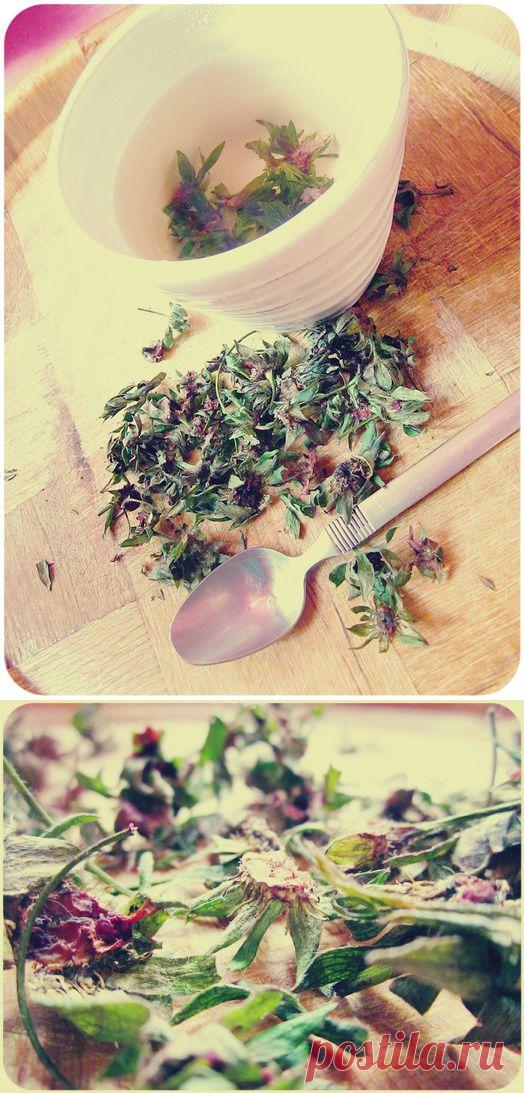 Не выбрасывайте клубничные хвостики:)