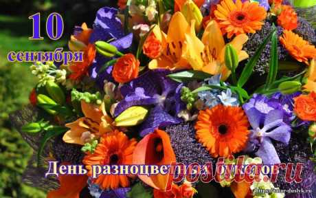 Как эти цветы дарят миру красоту, пусть твоя жизнь наполняется счастьем и любовью!