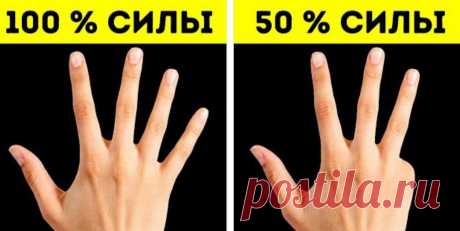 Невероятные факты, которые показывают, на сколько люди удивительны.
Проснувшись человек забывает 50% последнего сна, а через десять минут уже не будет помнить всё 90%. Когда люди краснеют, то слизистая оболочка живота краснеет так же, как и лицо. Это происходит из-за увеличения прихода крови по всему телу. Волосяные фолликулы имеют такие же рецепторы, что и носовые. Вот почему волосы тоже умеют улавливать запахи. Как […]
Читай дальше на сайте. Жми подробнее ➡