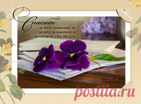 0_959aa_6e43fad1_orig (800×589)