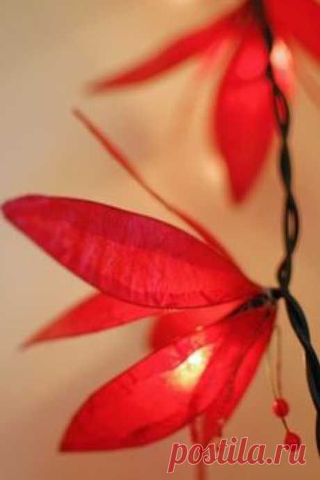 Red flower fairy lights