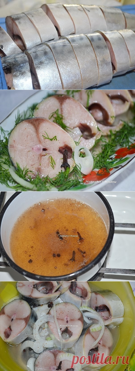 Скумбрия, маринованная в яблочном уксусе с пряностями