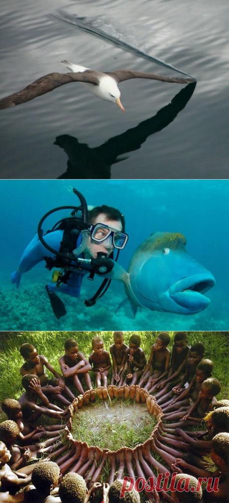 Удивительные фотографии со всего света.