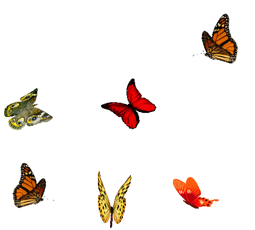 Плейкаст «****С ДНЕМ СЧАСТЬЯ,ДРУЗЬЯ!****»