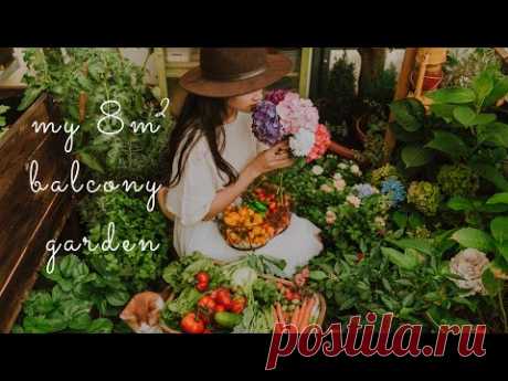 #11 Узгој повртњака на малом балкону (8м2) | Growing a Vegetable Garden on a Small Balcony {титлови}
