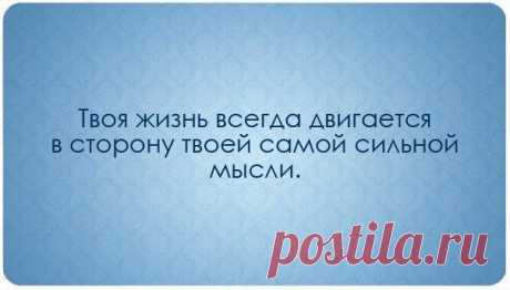 Жизнь и мысли | thePO.ST