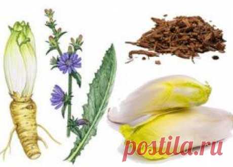 Специи и пряные травы. Часть X