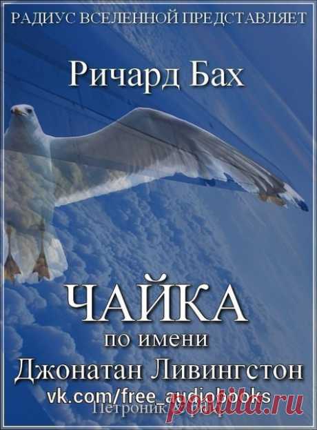 Чайка по имени Джонатан Ливингстон
