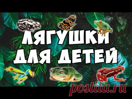 Лягушки для детей
