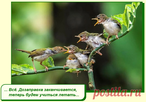 ХОРОШЕГО ВАМ НАСТРОЕНИЯ