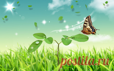 butterfly_world-widescreen_wallpapers.jpg (Изображение JPEG, 1920 × 1200 пикселов) - Масштабированное (64%)