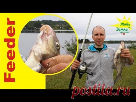 Оснащение донок на леща так, чтобы реально ловить на них рыбу.