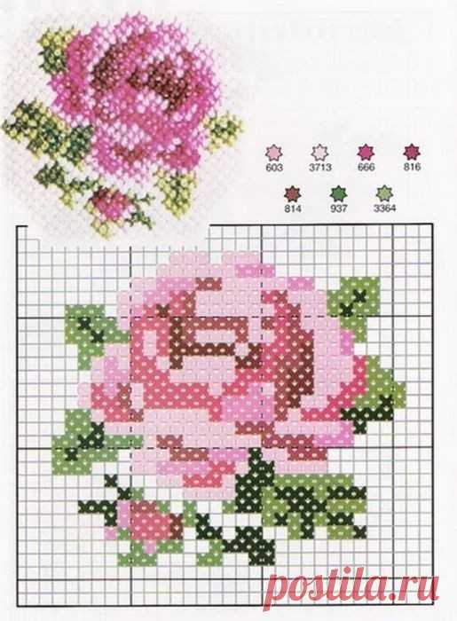 Pink Rose Rug - Foter