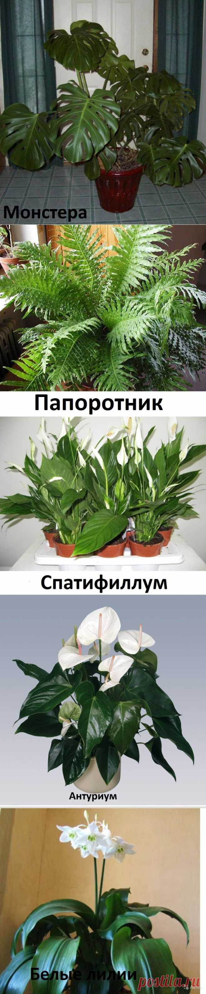 Одноклассники