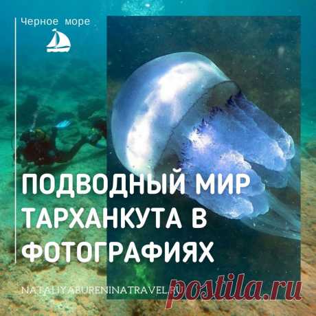 🌊🌊🌊О дайвинге все знают, но далеко не все сами погружались с аквалангом. Для большинства подводный мир недоступен или труднодоступен. А еще подводный мир - это тайна, что-то чужое, скрытое и пугающее непроницаемыми темными глубинами. Когда я первый раз нырнула с аквалангом, первое ощущение было чужеродности новой среды. Мир под водой🌊 - это как другая планета, таинственная, но красивая и притягательная. Из-за пандемии я приостановила путешествия, и дайвинг пока отложен на неопределенное врем