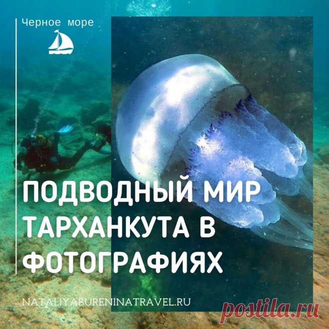 🌊🌊🌊О дайвинге все знают, но далеко не все сами погружались с аквалангом. Для большинства подводный мир недоступен или труднодоступен. А еще подводный мир - это тайна, что-то чужое, скрытое и пугающее непроницаемыми темными глубинами. Когда я первый раз нырнула с аквалангом, первое ощущение было чужеродности новой среды. Мир под водой🌊 - это как другая планета, таинственная, но красивая и притягательная. Из-за пандемии я приостановила путешествия, и дайвинг пока отложен на неопределенное врем