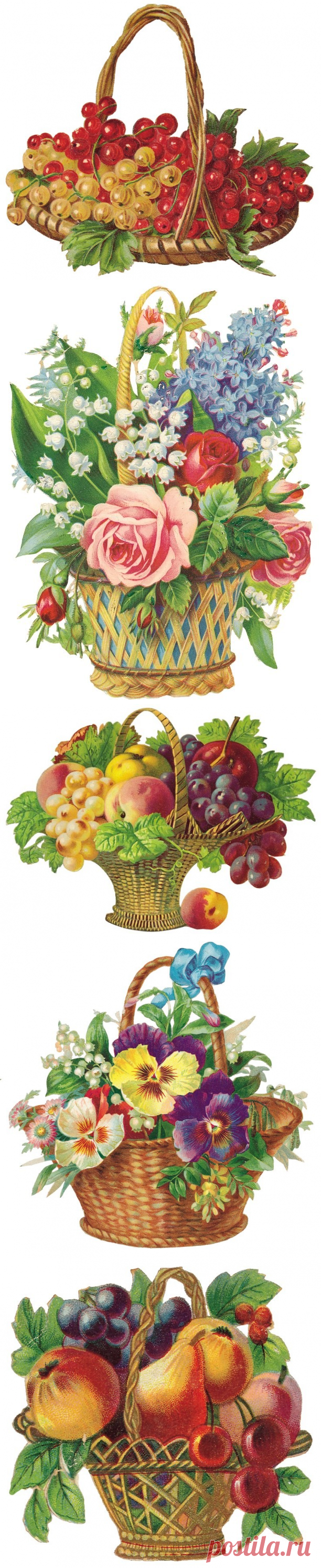 (15) Одноклассники