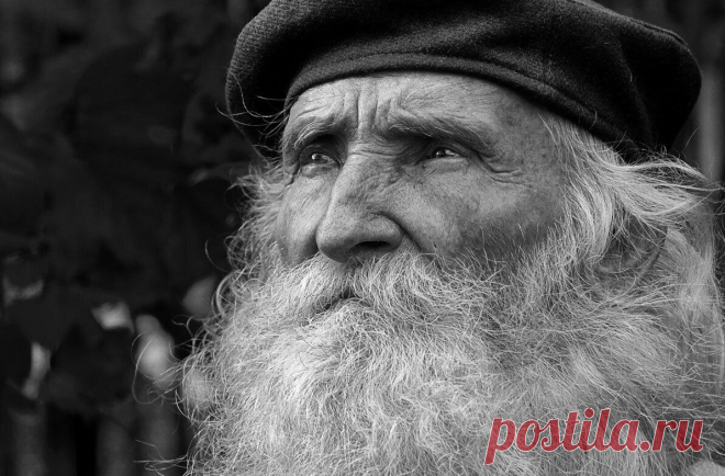 «Как сохранить себя до глубокой старости»: 3 мудрых цитаты долгожителя из глубинки
В предыдущей статье я уже рассказывал, как переехал из квартиры в старый сельский домик и чем это обернулось. В этом самом домике на чердаке я нашел целую стопку старых пожелтевших газет, так сказать локальных: в них часто берут интервью у жителей соседних сел и областных центров. В одной из таких газет я нашел целый кладезь […]
Читай пост далее на сайте. Жми ⏫ссылку выше