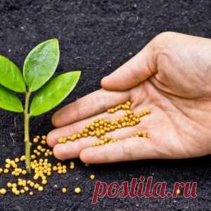 Удобрения на все случаи жизни