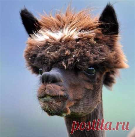 Юмор &gt;Супружеская жизнь,,,,,,