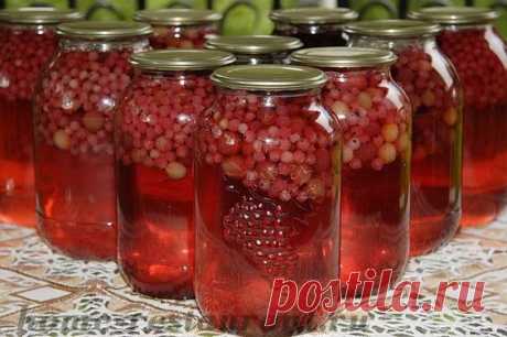 Компот из крыжовника на зиму: самый вкусный рецепт! | Домашний Ресторан