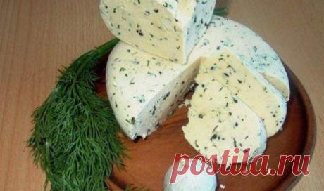 Домашние сыры - 20 вариантов приготовления - Простые рецепты Овкусе.ру