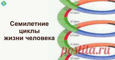 (4) Море позитива - Публикации