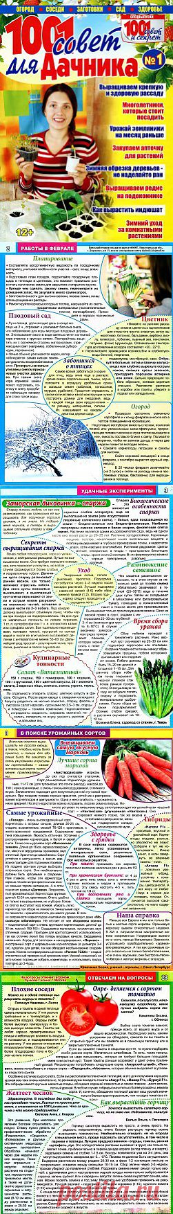 1001 совет для дачника №1 2014.