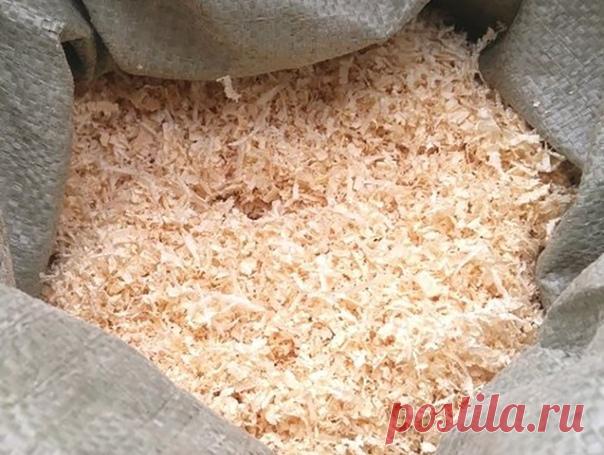 Как правильно использовать опилки в огороде?