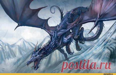 JoyReactor - смешные картинки и другие приколы: комиксы, гиф анимация, видео, лучший интеллектуальный юмор.